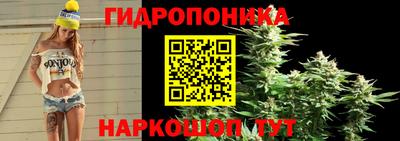 apvp Нарткала