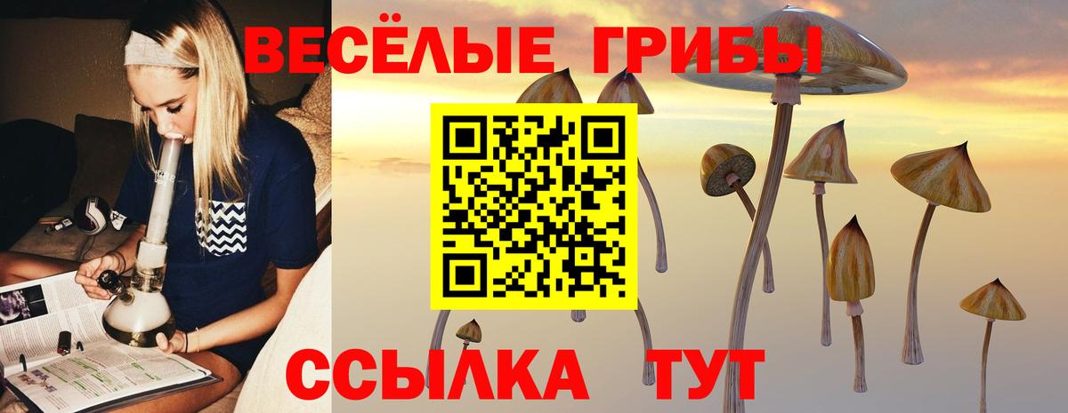 где можно купить наркотик  Вход с VPN  Псилоцибиновые грибы Psilocybe  Скопин  Галлюциногенные грибы Psilocybe 